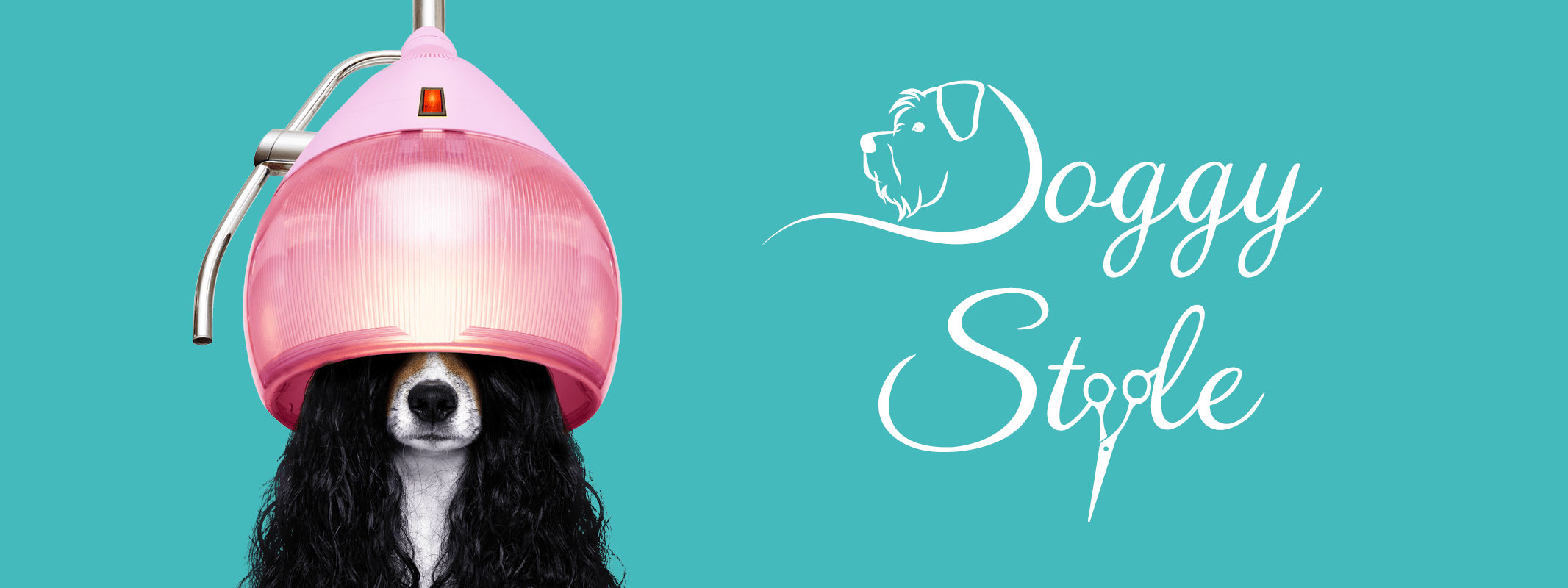 Hund unter der Trockenhaube – Doggy Style Hundesalon in Nenzing